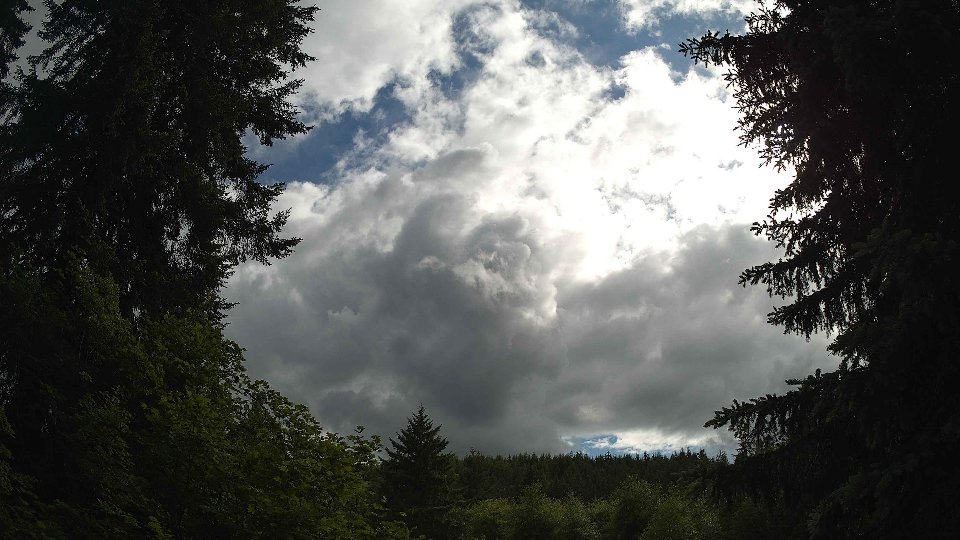 Pacific Northwest skyline timelapse frame from Jun 5th, 2026 at 5:00 PM