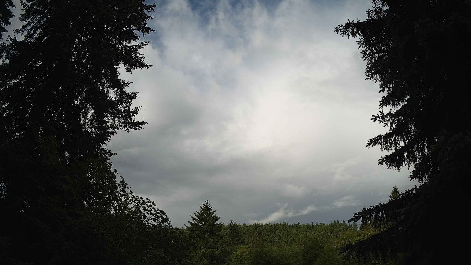 Pacific Northwest skyline timelapse on Jun 6th, 2026 at 8:00 AM