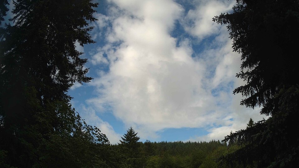 Pacific Northwest skyline timelapse on Jun 6th, 2026 at 9:00 AM