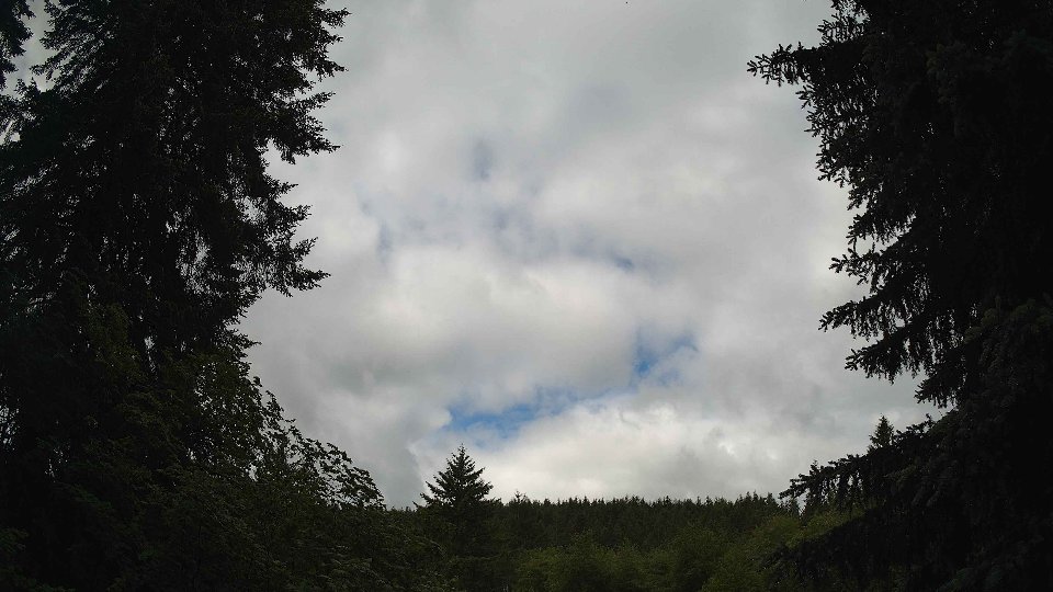 Pacific Northwest skyline timelapse on Jun 6th, 2026 at 9:30 AM