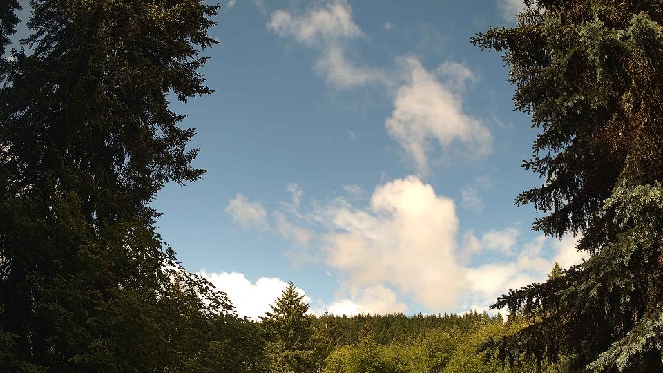 Pacific Northwest skyline timelapse on Jun 6th, 2026 at 10:15 AM
