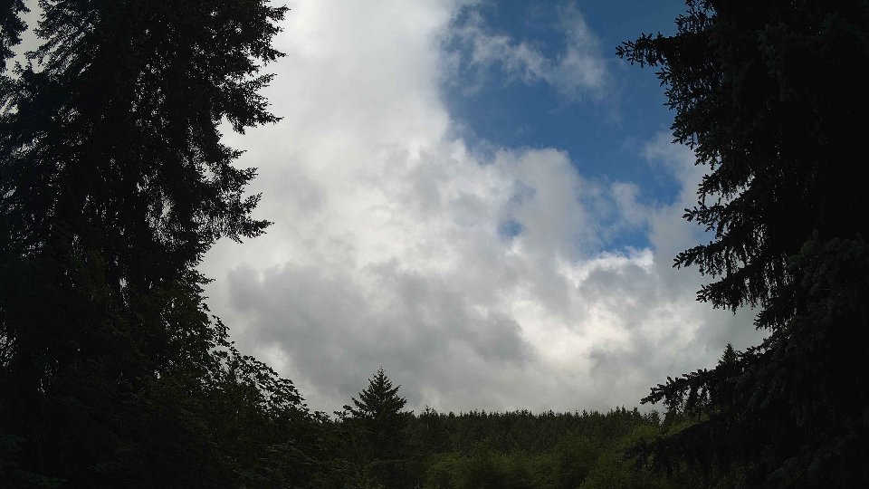 Pacific Northwest skyline timelapse on Jun 6th, 2026 at 10:30 AM