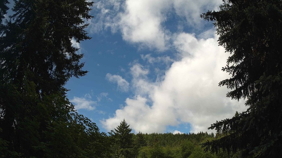 Pacific Northwest skyline timelapse on Jun 6th, 2026 at 11:00 AM