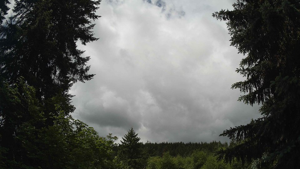 Pacific Northwest skyline timelapse on Jun 6th, 2026 at 11:30 AM