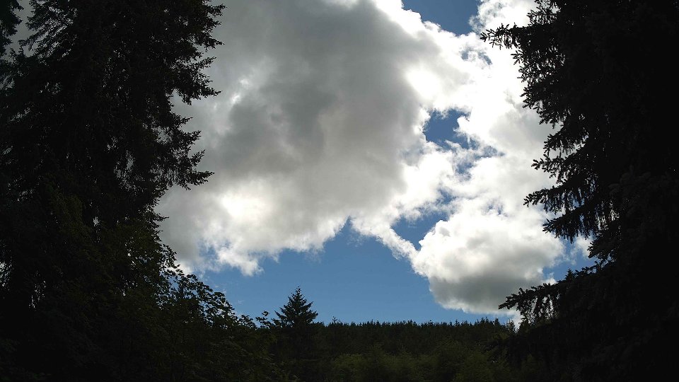 Pacific Northwest skyline timelapse on Jun 6th, 2026 at 2:30 PM