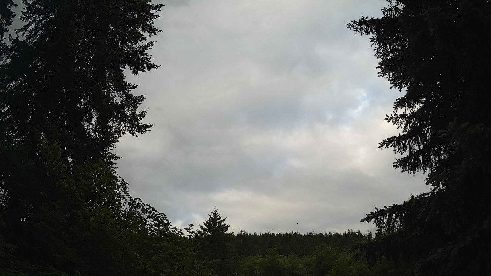 Pacific Northwest skyline timelapse frame from Jun 7th, 2026 at 7:00 AM