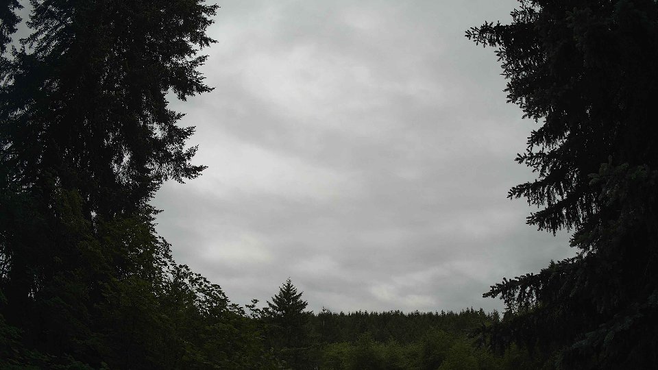 Pacific Northwest skyline timelapse frame from Jun 7th, 2026 at 8:00 AM