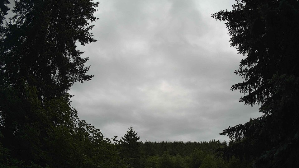 Pacific Northwest skyline timelapse frame from Jun 7th, 2026 at 8:15 AM