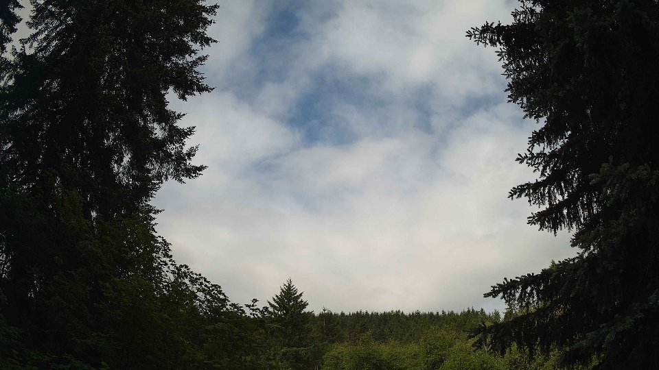 Pacific Northwest skyline timelapse frame from Jun 7th, 2026 at 8:45 AM