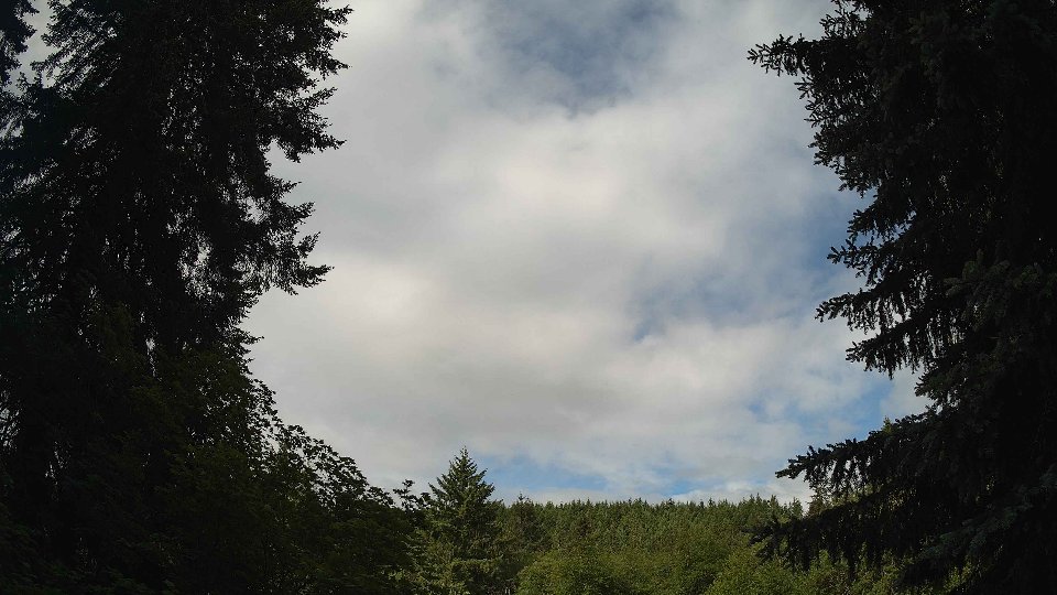 Pacific Northwest skyline timelapse frame from Jun 7th, 2026 at 9:00 AM