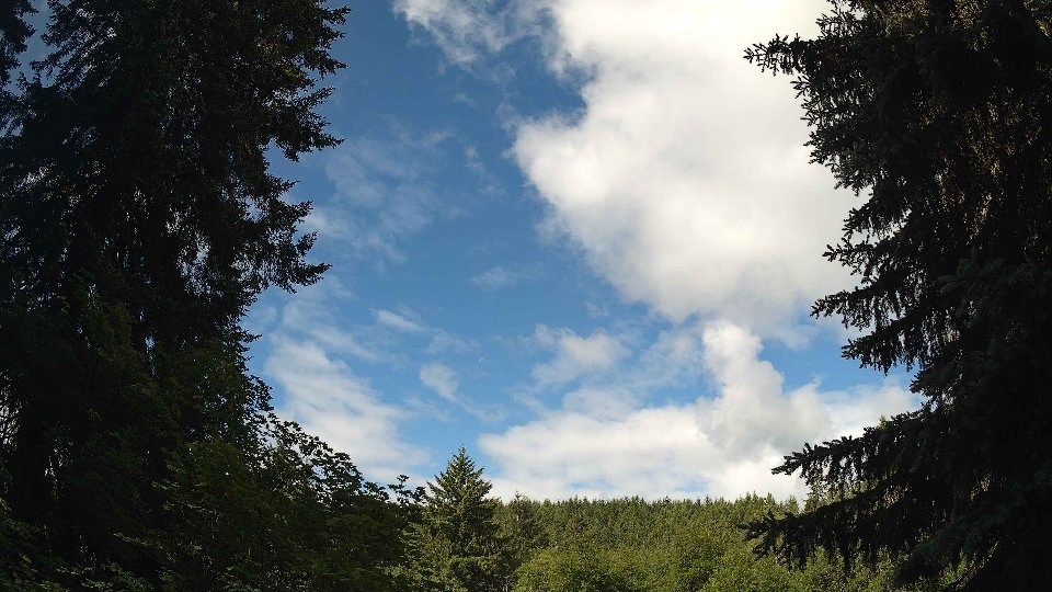 Pacific Northwest skyline timelapse frame from Jun 7th, 2026 at 9:30 AM