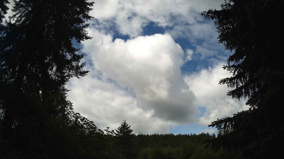 Pacific Northwest skyline timelapse frame from Jun 7th, 2026 at 10:00 AM