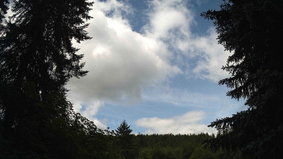 Pacific Northwest skyline timelapse frame from Jun 7th, 2026 at 10:15 AM
