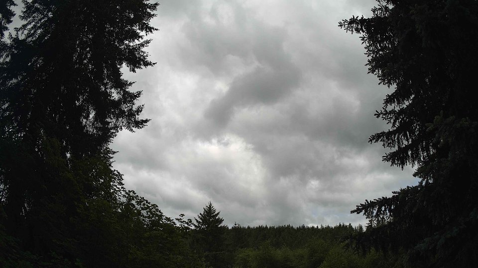 Pacific Northwest skyline timelapse frame from Jun 7th, 2026 at 11:00 AM