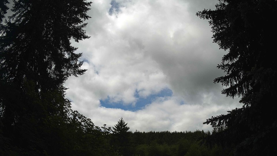 Pacific Northwest skyline timelapse frame from Jun 7th, 2026 at 11:15 AM