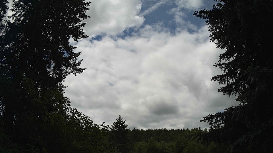 Pacific Northwest skyline timelapse frame from Jun 7th, 2026 at 11:30 AM