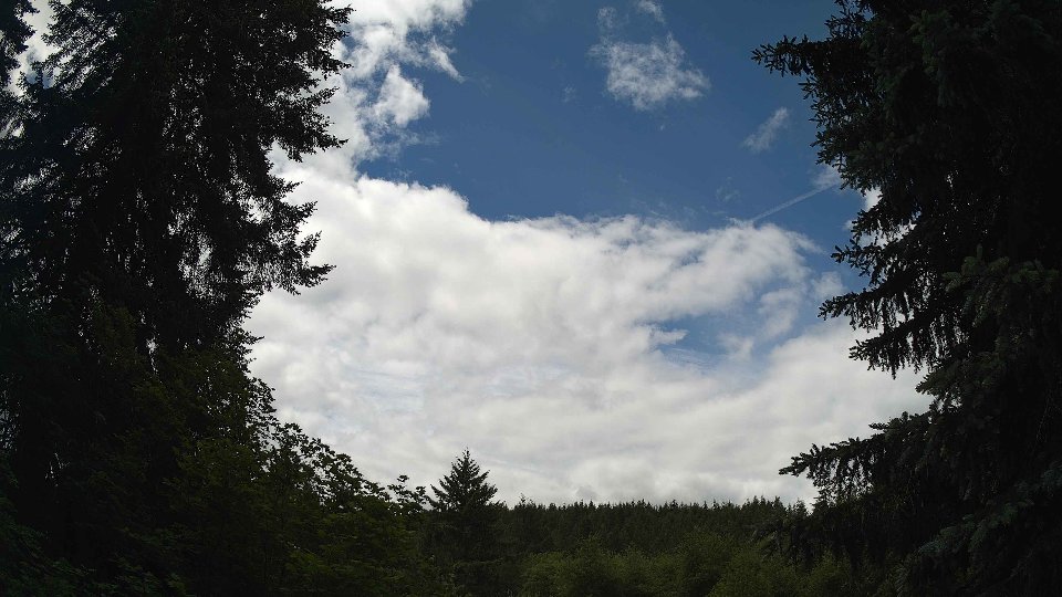 Pacific Northwest skyline timelapse frame from Jun 7th, 2026 at 12:00 PM