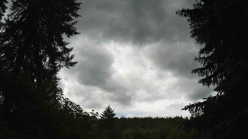 Pacific Northwest skyline timelapse frame from Jun 7th, 2026 at 12:30 PM