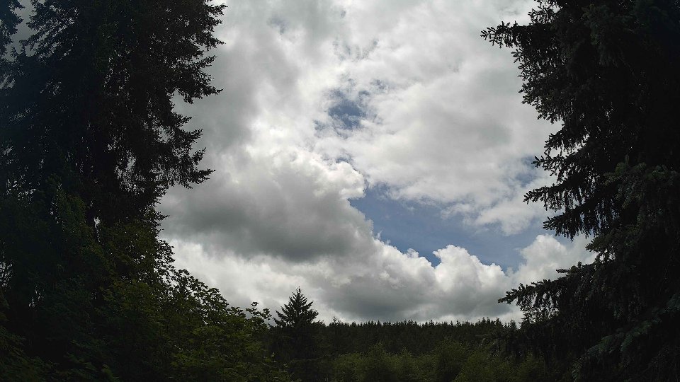 Pacific Northwest skyline timelapse frame from Jun 7th, 2026 at 1:30 PM