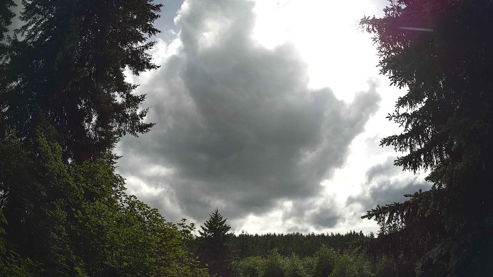 Pacific Northwest skyline timelapse frame from Jun 7th, 2026 at 4:00 PM