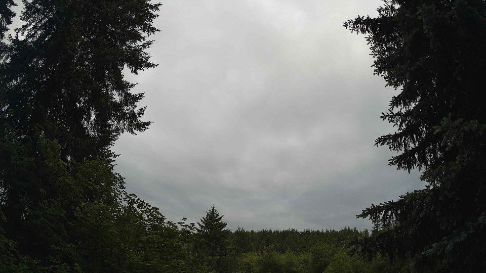 Pacific Northwest skyline timelapse frame from Jun 8th, 2026 at 6:30 AM