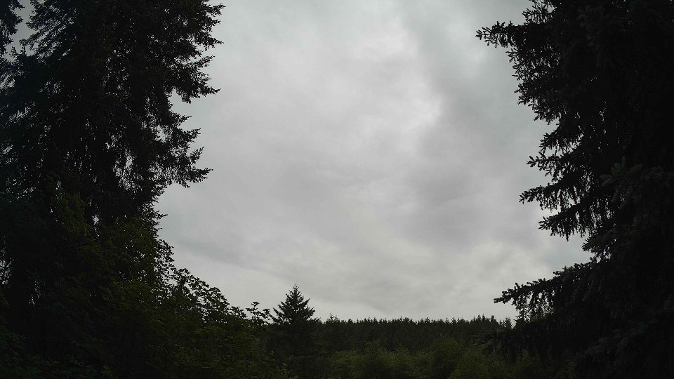 Pacific Northwest skyline timelapse frame from Jun 8th, 2026 at 7:30 AM