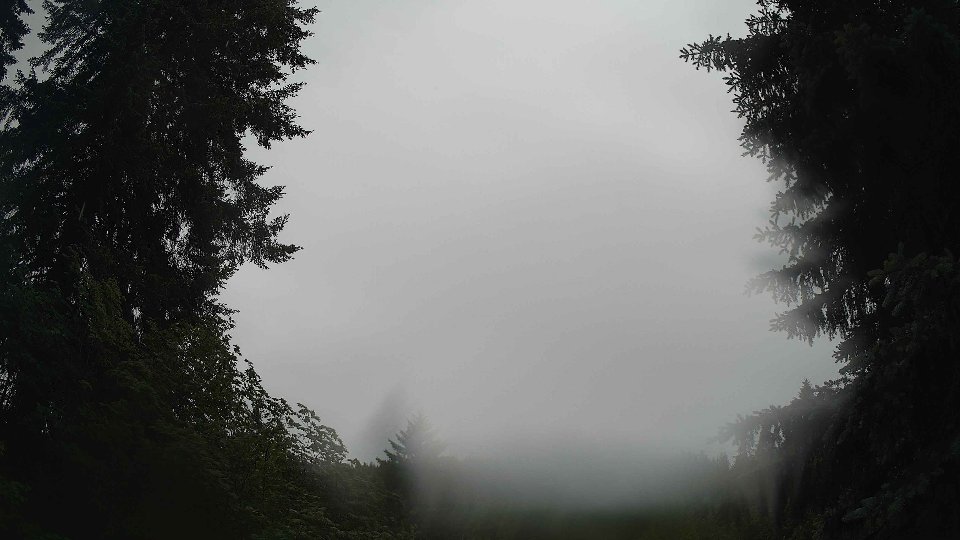 Pacific Northwest skyline timelapse frame from Jun 8th, 2026 at 9:00 AM