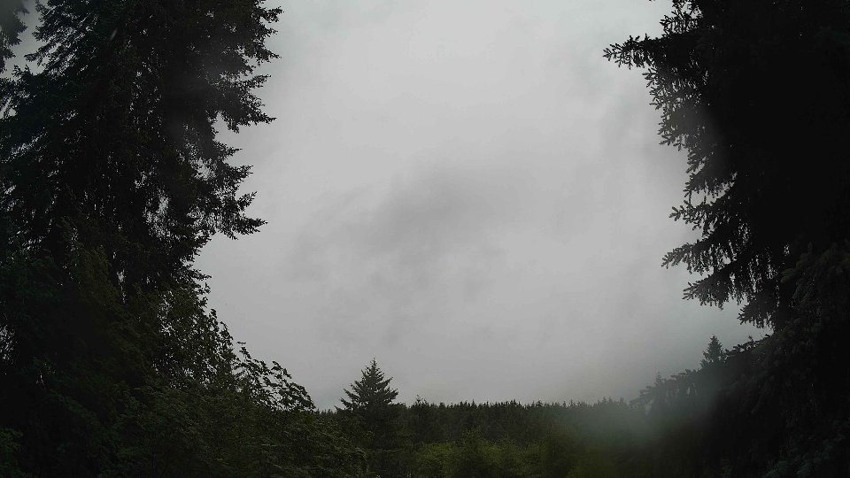 Pacific Northwest skyline timelapse frame from Jun 8th, 2026 at 11:00 AM