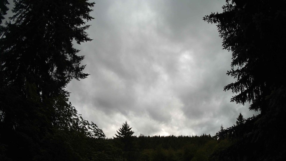 Pacific Northwest skyline timelapse frame from Jun 8th, 2026 at 8:59 PM