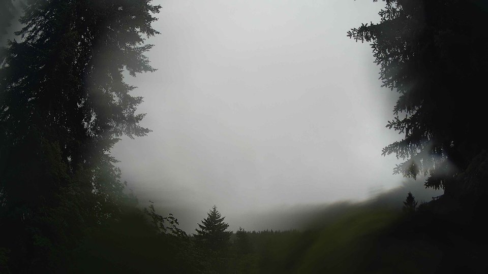 Pacific Northwest skyline timelapse frame from Jun 9th, 2026 at 8:00 AM