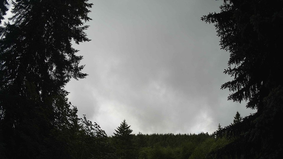 Pacific Northwest skyline timelapse frame from Jun 9th, 2026 at 10:15 AM