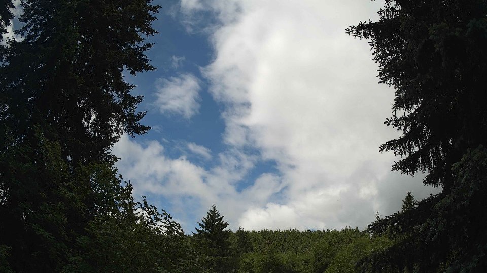 Pacific Northwest skyline timelapse frame from Jun 9th, 2026 at 11:00 AM