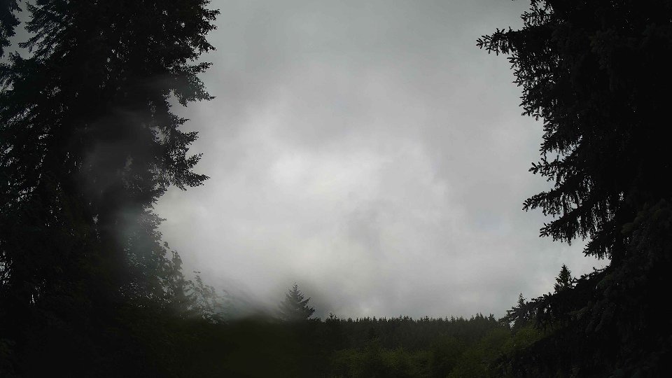 Pacific Northwest skyline timelapse frame from Jun 9th, 2026 at 11:15 AM
