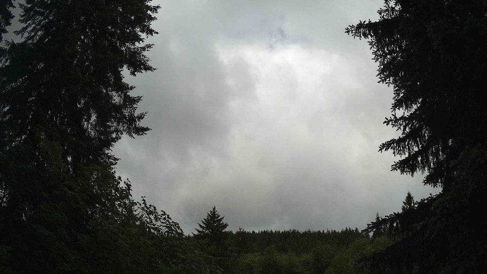 Pacific Northwest skyline timelapse frame from Jun 9th, 2026 at 11:30 AM