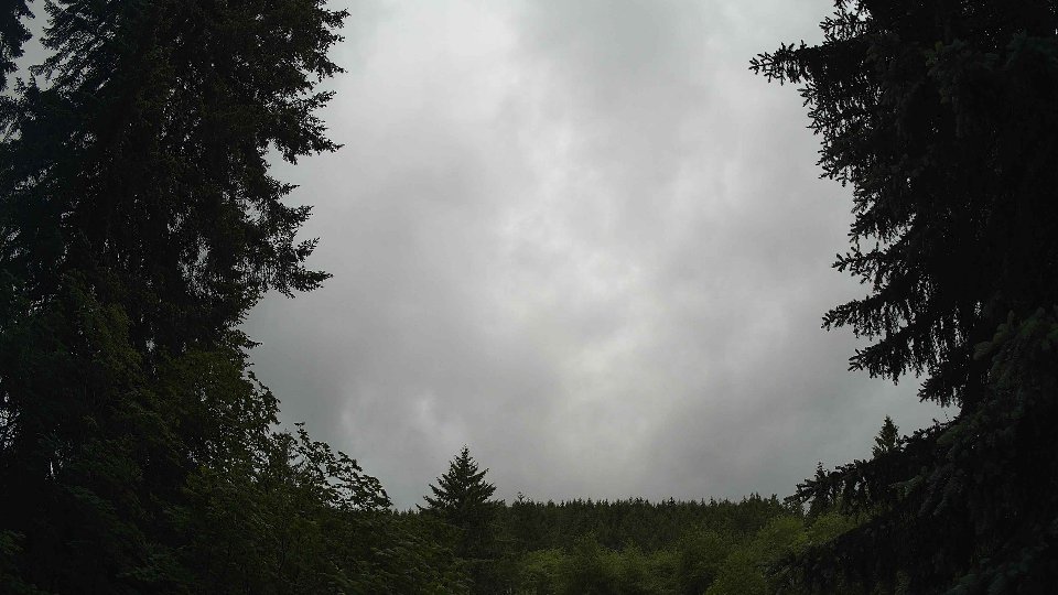 Pacific Northwest skyline timelapse frame from Jun 9th, 2026 at 11:45 AM