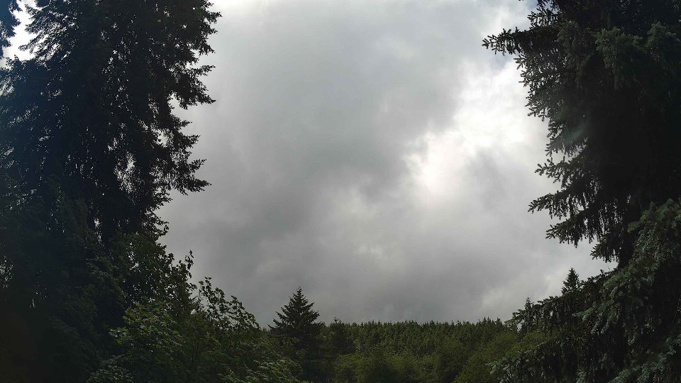 Pacific Northwest skyline timelapse frame from Jun 9th, 2026 at 12:45 PM