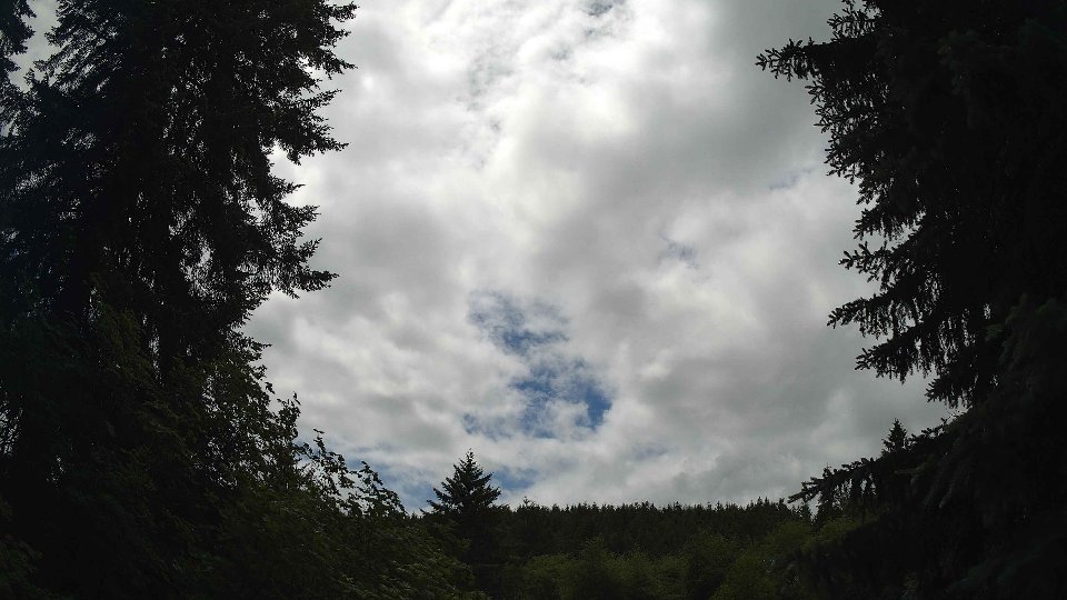 Pacific Northwest skyline timelapse frame from Jun 9th, 2026 at 1:30 PM