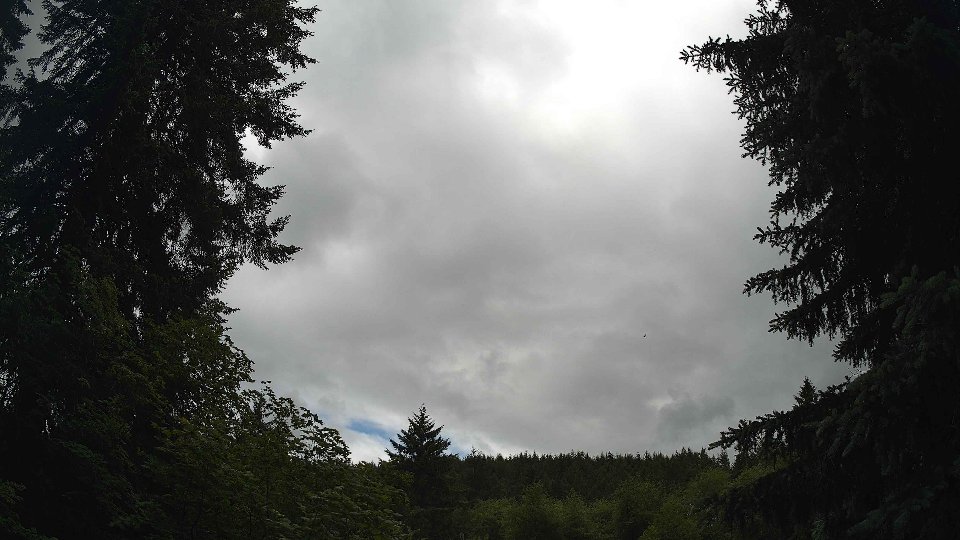 Pacific Northwest skyline timelapse frame from Jun 9th, 2026 at 1:45 PM