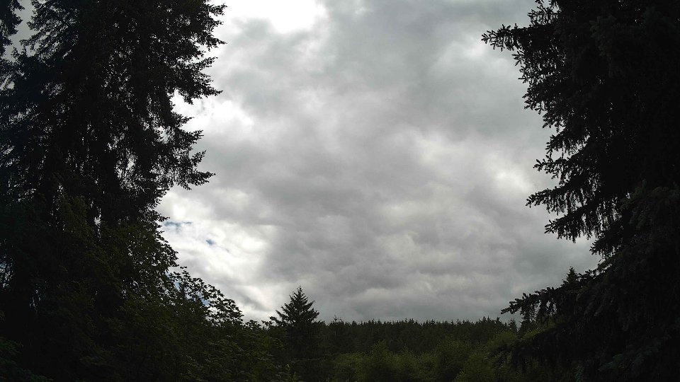 Pacific Northwest skyline timelapse frame from Jun 9th, 2026 at 3:00 PM