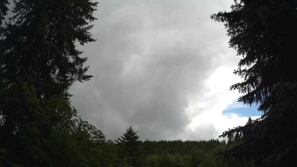 Pacific Northwest skyline timelapse frame from Jun 9th, 2026 at 3:15 PM