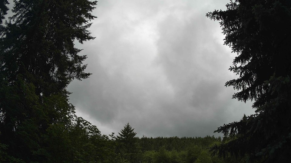 Pacific Northwest skyline timelapse frame from Jun 9th, 2026 at 4:00 PM