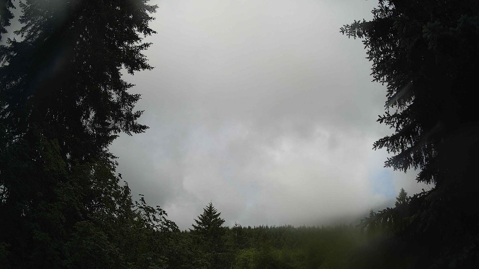 Pacific Northwest skyline timelapse frame from Jun 10th, 2026 at 8:30 AM