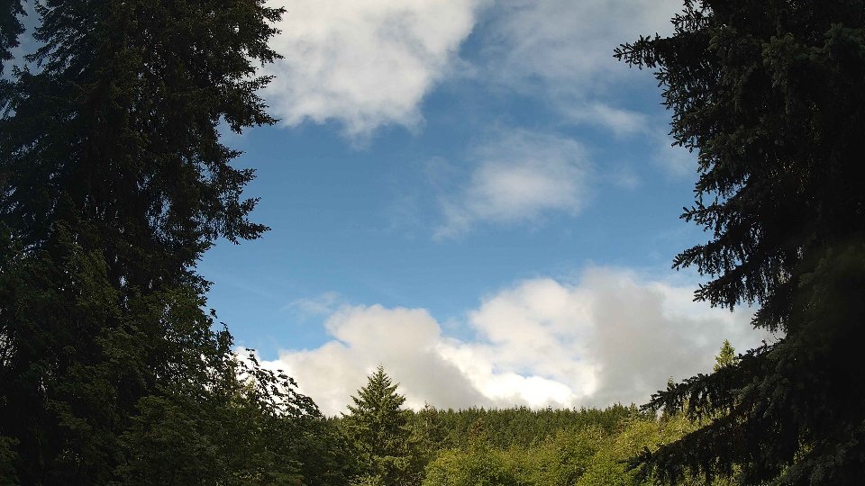 Pacific Northwest skyline timelapse frame from Jun 10th, 2026 at 9:00 AM