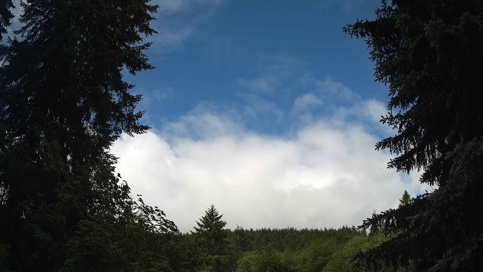 Pacific Northwest skyline timelapse frame from Jun 10th, 2026 at 9:15 AM