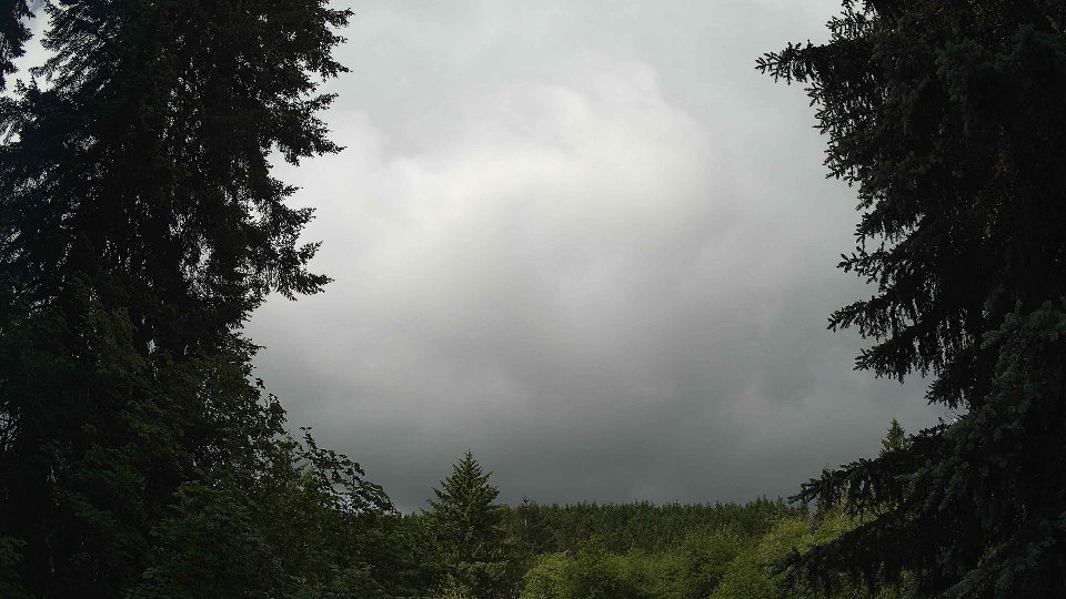 Pacific Northwest skyline timelapse frame from Jun 10th, 2026 at 9:30 AM