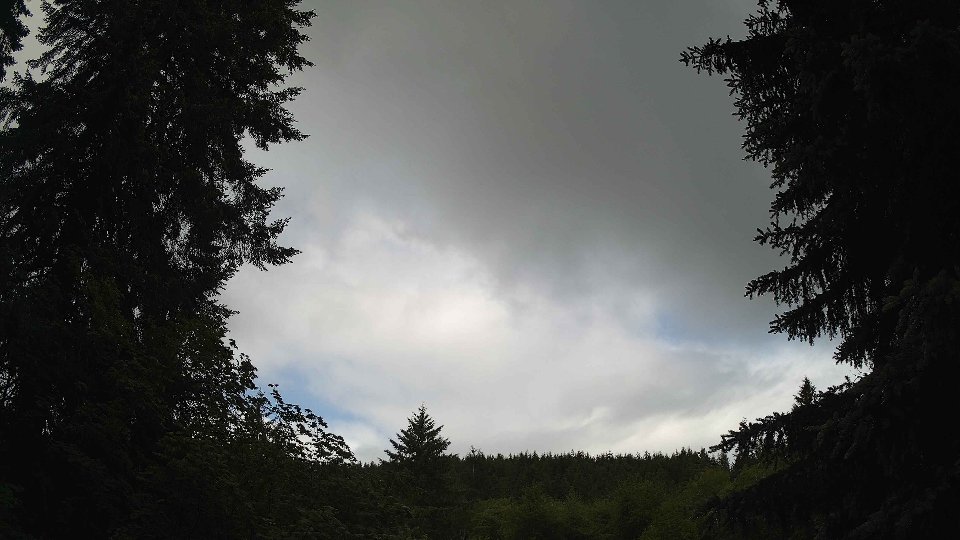 Pacific Northwest skyline timelapse frame from Jun 10th, 2026 at 9:45 AM