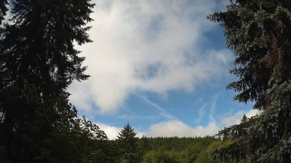 Pacific Northwest skyline timelapse frame from Jun 10th, 2026 at 10:00 AM