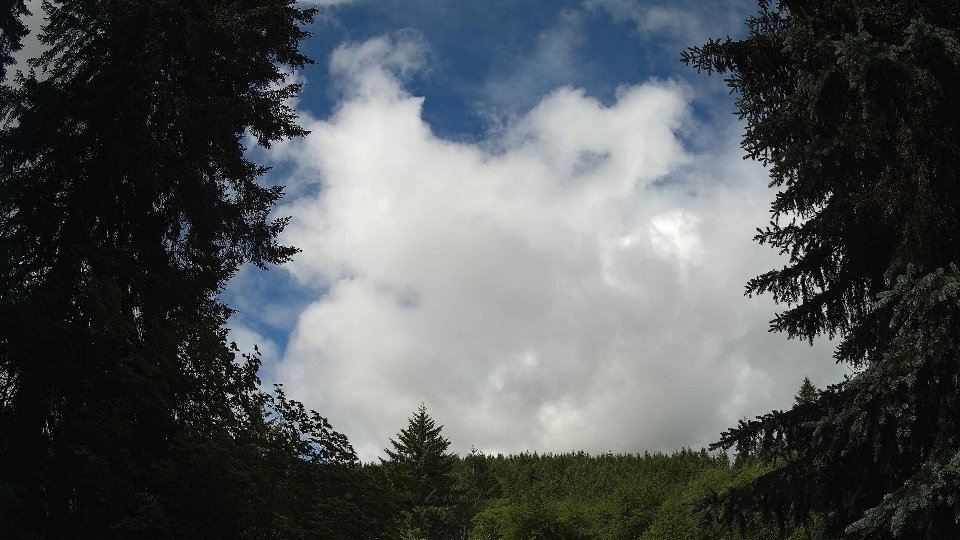 Pacific Northwest skyline timelapse frame from Jun 10th, 2026 at 10:15 AM