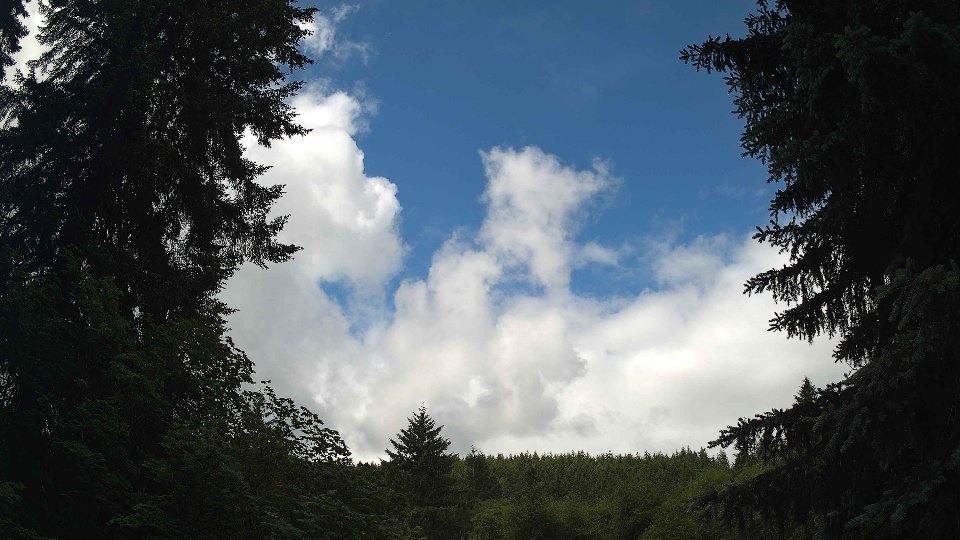 Pacific Northwest skyline timelapse frame from Jun 10th, 2026 at 10:30 AM
