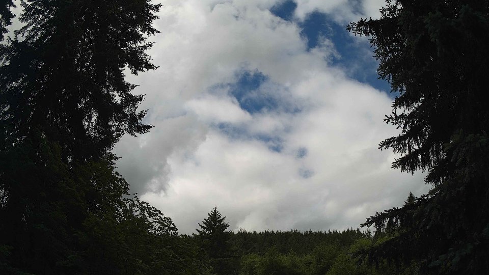 Pacific Northwest skyline timelapse frame from Jun 10th, 2026 at 10:45 AM